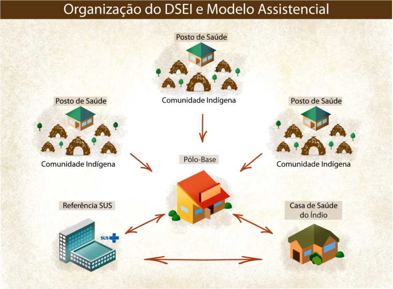 organizacaoDSEI